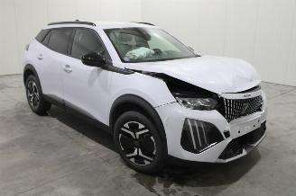 Peugeot 2008  picture 2