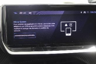 Peugeot 2008  picture 13