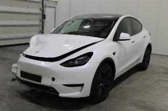 Damaged car Tesla Model Y  2024/9