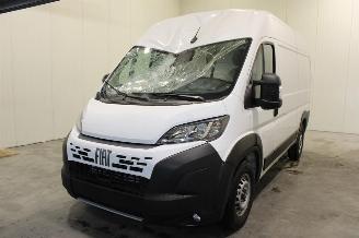 škoda osobní automobily Fiat Ducato  2026/5