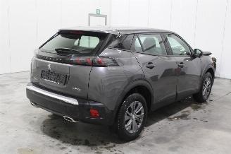 Peugeot 2008  picture 3