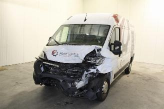 škoda osobní automobily Opel Movano  2024/2