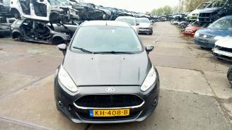Ford Fiesta  picture 2