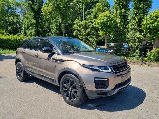 Damaged car Land Rover Range Rover Evoque 20d 110KW AWD Aut. Pano 2019/2