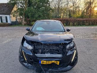 Peugeot 2008 Puretech 100 Active pack picture 8