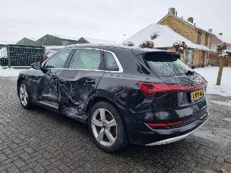 Audi E-tron 50 Quattro 71Kwh Pano Navi Led picture 5