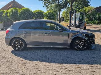 Mercedes A-klasse 250e AMG Line Pano Navi Sfeerverl. picture 6