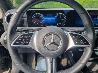 Mercedes A-klasse 250e Aut. Led Navi Stoelverw picture 20
