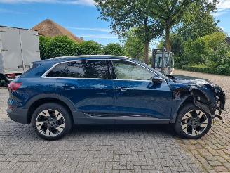Audi E-tron 50 Quattro 71Kwh Stoelverw. picture 6