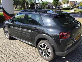 Citroën C4 cactus 1.6 blueHDI  business lichte schade picture 5