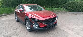 Mazda CX-30 1.8-skyactiv Executive Navi Head-up Keyless entry Leder Zwart/Bruin Climatecontrol Stoelverwarming Regensensor Drivelane assistent Dimmende binnenspiegel Achteruitrijcamera Elektrische achterklep picture 11