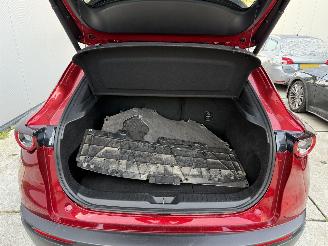 Mazda CX-30 2.5 e-SkyActiv-G M Hybrid Nagisa-LEDER-CAMERA-NAVI-HUD picture 10