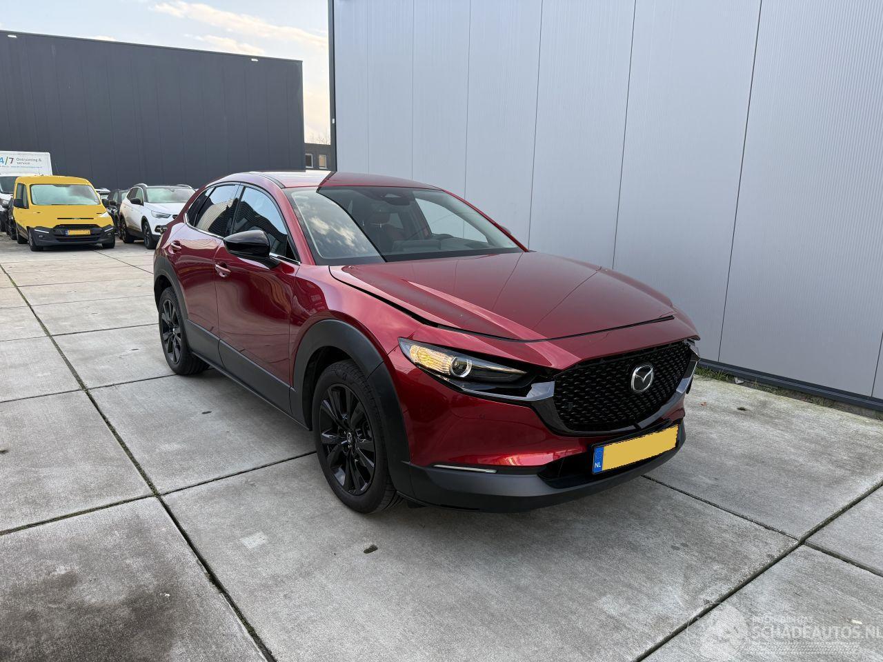 Mazda CX-30 2.5 e-SkyActiv-G M Hybrid Nagisa-LEDER-CAMERA-NAVI-HUD