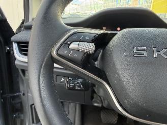 Skoda Elroq 85 Business Edition Tour 286PK - NAVI - CAMERA - LED picture 20