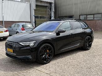 Avarii autoturisme Audi E-tron 55 Quattro 95Kwh Pano 360Camera 2019/10