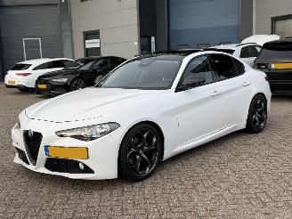 Voiture accidenté Alfa Romeo Giulia 2.2D Automaat Super Pano 2016/10