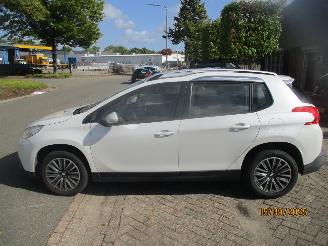 Peugeot 2008 1.6 VTI ACTIVE picture 2