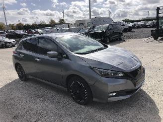 damaged passenger cars Nissan Leaf  2024/4
