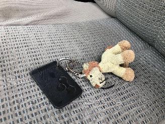 Renault Mégane 1.4 16V picture 19