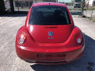 Volkswagen Beetle 1.6 I   BFS picture 13
