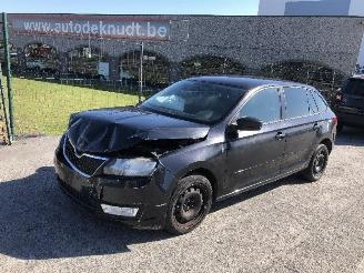 Skoda Rapid 1.6 tdi picture 4