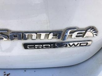 Hyundai Santa Fe 2.2CRDI 4X4 AUTOM 7 PLACE picture 12