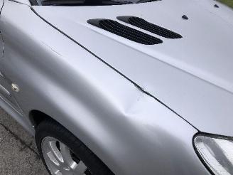 Peugeot 206 CC 1.6 QUIKSILVER picture 12