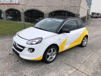 uszkodzony samochody osobowe Opel Adam 1.2  CABRIO 2018/1
