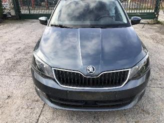 Skoda Fabia combi  1.0 picture 14
