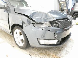 Skoda Rapid AMBITION picture 11
