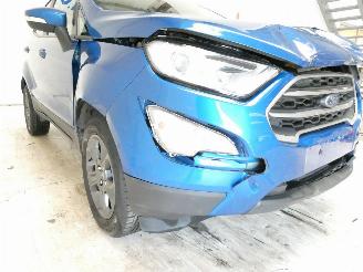 Ford EcoSport 1.0 picture 12