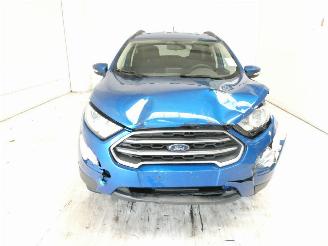 Ford EcoSport 1.0 picture 2