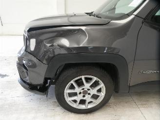 Jeep Renegade LIMITED picture 8