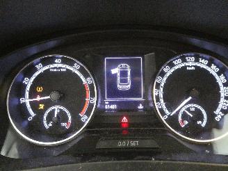 Skoda Rapid AMBITION picture 12