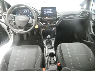 Ford Fiesta  picture 12