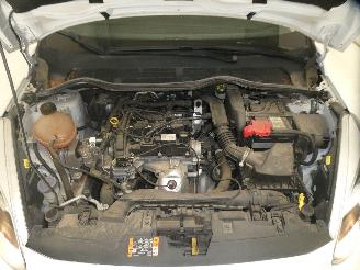Ford Fiesta  picture 21