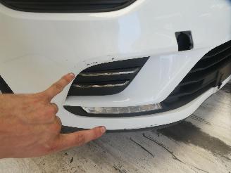 Renault Clio MOTORSCHADE picture 10