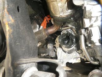 MG 3  picture 21