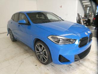 BMW X2 SDRIVE18I picture 13