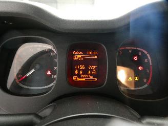 Fiat Panda CROSS picture 16