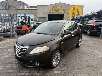 uszkodzony samochody osobowe Lancia Ypsilon GOLD 2012/9