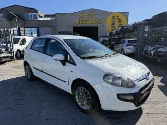 Fiat Punto 1.3 MULTIJET picture 1