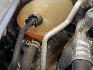 Dacia Jogger 7 PLACE picture 10