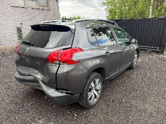 Peugeot 2008 ACCESS picture 17