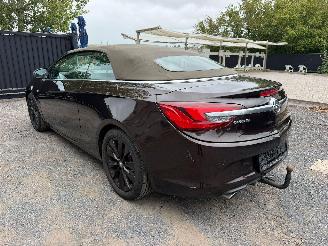 Opel Cascada COSMO picture 14