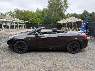 Opel Cascada COSMO picture 12