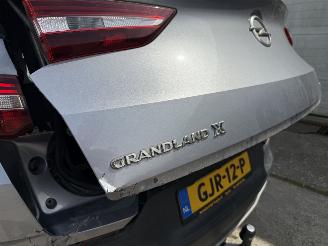 Opel Grandland 1.2 Turbo Business Executive Automaat picture 7