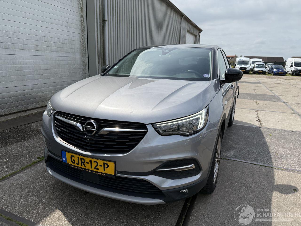 Opel Grandland 1.2 Turbo Business Executive Automaat