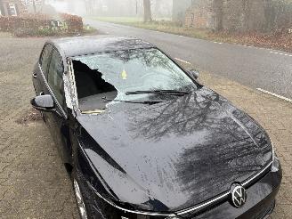 Volkswagen Golf 8 TSI NAVI CLIMA CAMERA LED CRUISE B.J 05-2022 picture 17