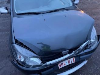 Dacia Sandero  picture 15